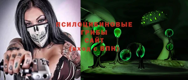эйфоретик Богородицк