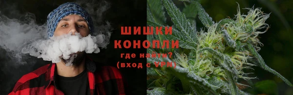 тгк Богородск