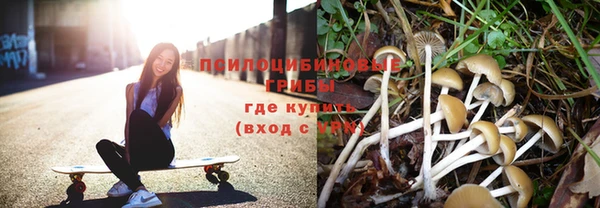 эйфоретик Богородицк