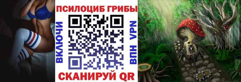 купить наркоту  Верещагино  Псилоцибиновые грибы мухоморы 
